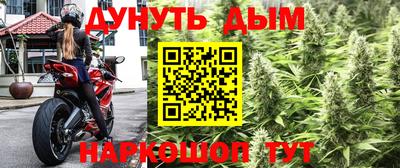 мяу мяу мука Кулебаки