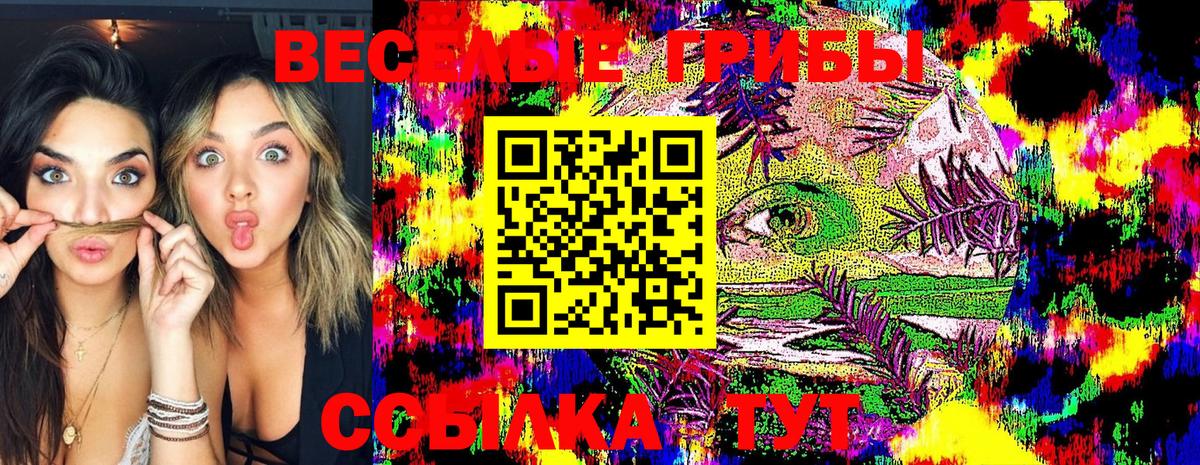 Камышин  Галлюциногенные грибы прущие грибы  Вход с VPN 