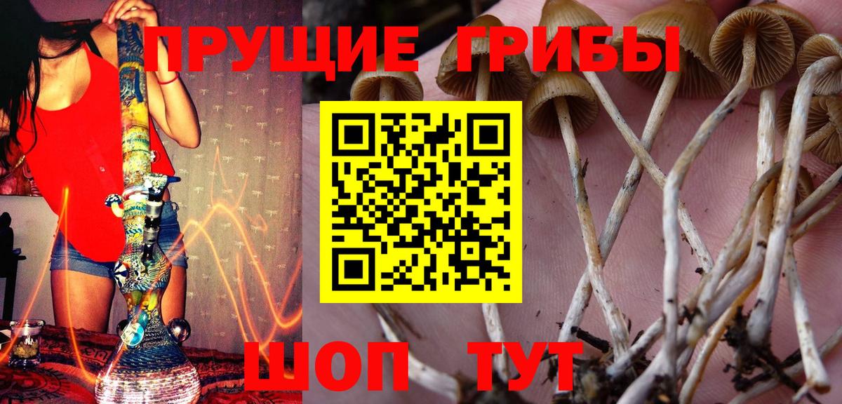 Псилоцибиновые грибы мухоморы Камышин